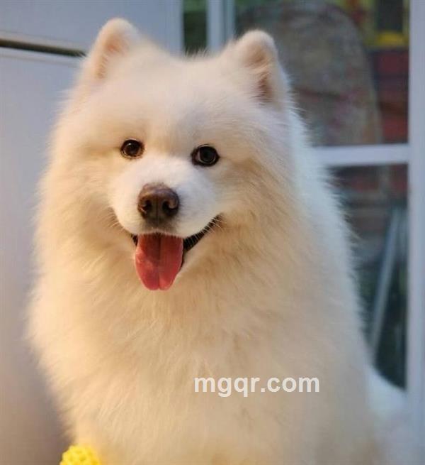 寂寞小伙的头像