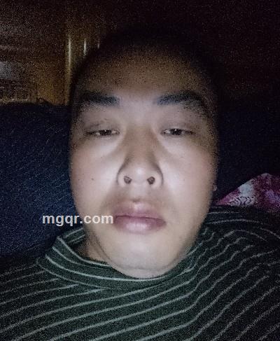 龙珠传奇的头像