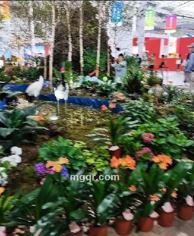 沉默的羔羊的头像