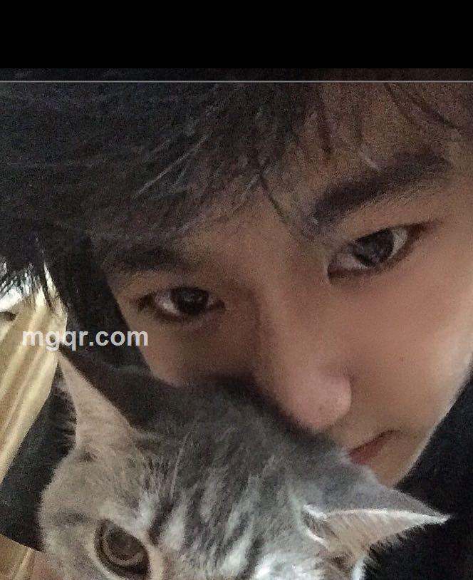 浪漫写入诗娓的头像