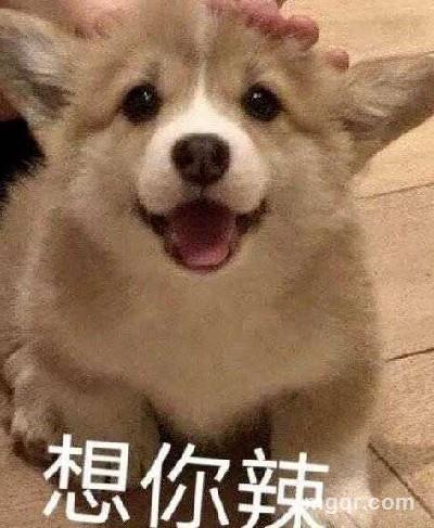 人生的头像