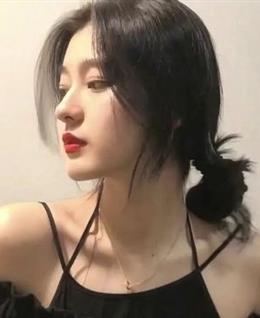房东的猫的头像