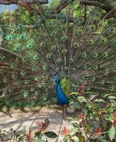 趁时光还在的头像