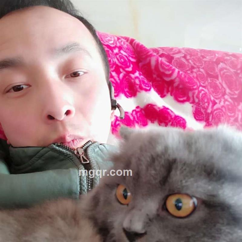 爱卡在线的头像