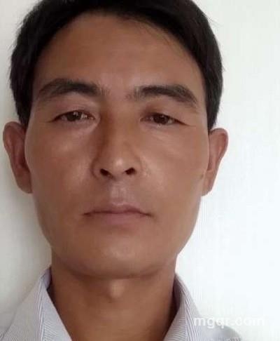 会飞的鱼的头像