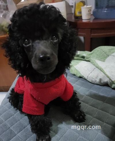 唯美nn的头像