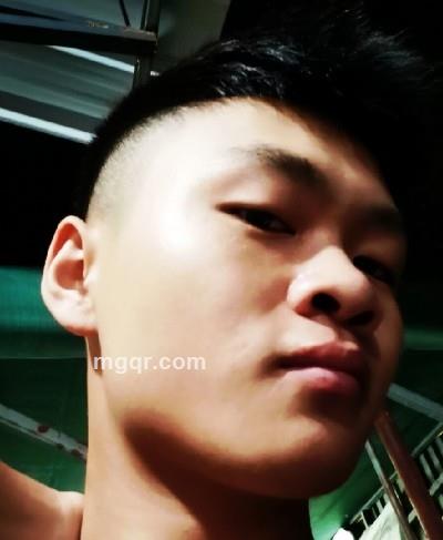 哔哔哔哔哔哔的头像