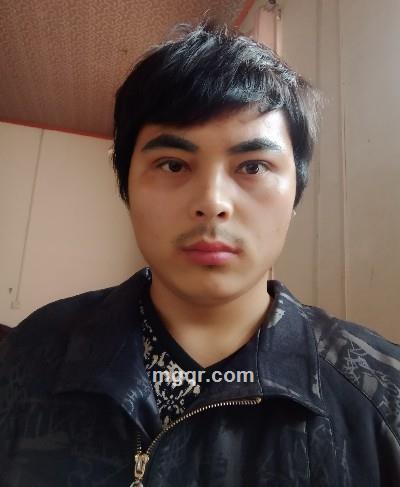 踏雪寻梅的头像