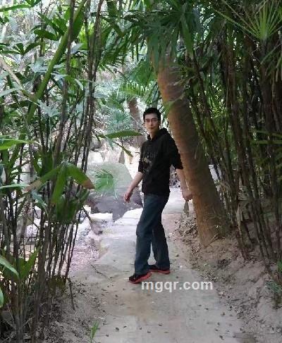 沪上大叔的头像