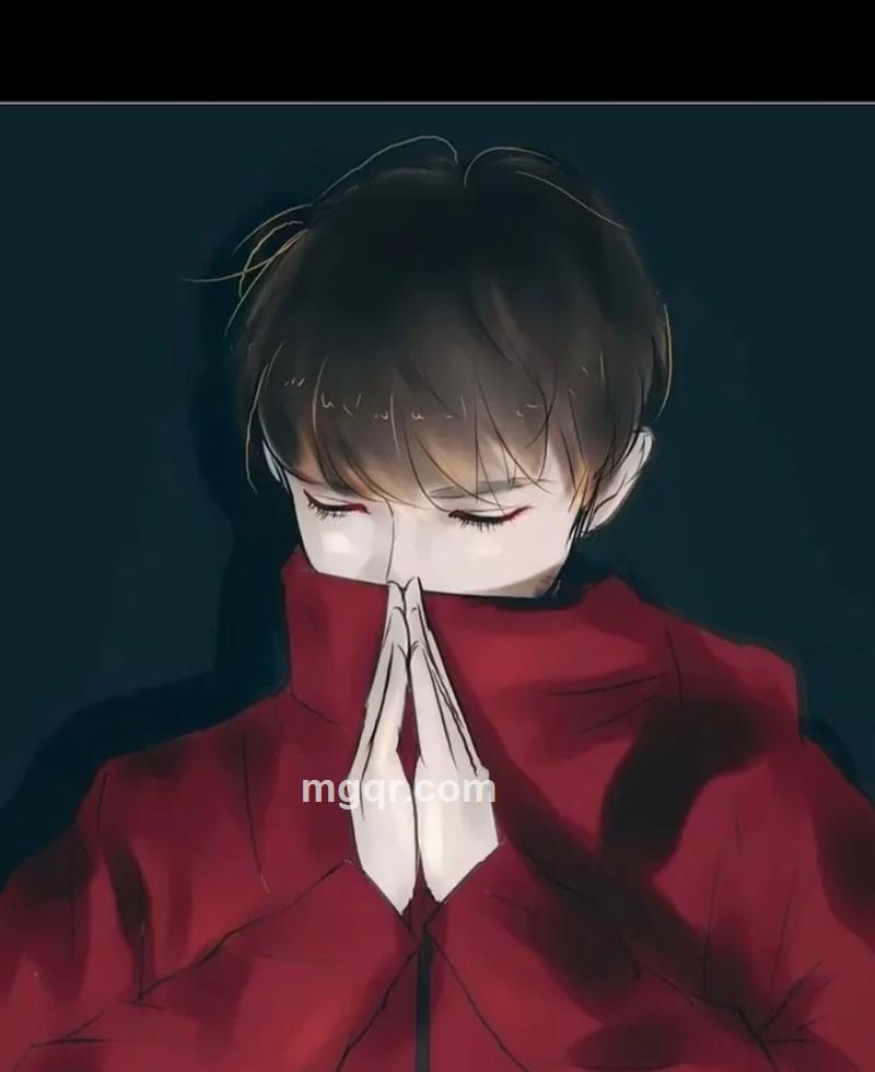 会飞的猫的头像