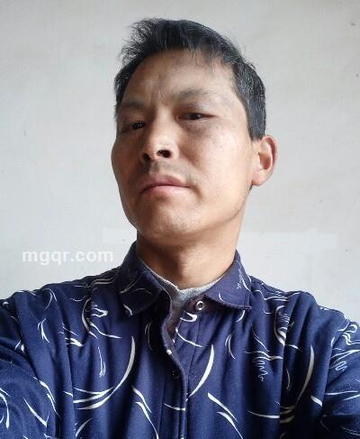 夏天的雪的头像