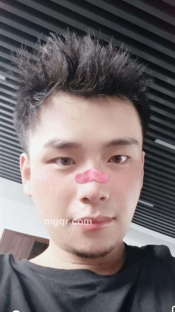 四叶草的头像