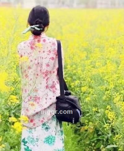 曦雨菲菲的头像