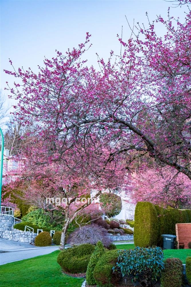 缘在哪里的头像