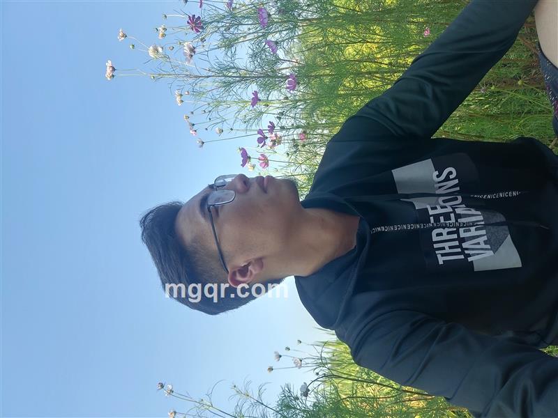 两天晒网的头像