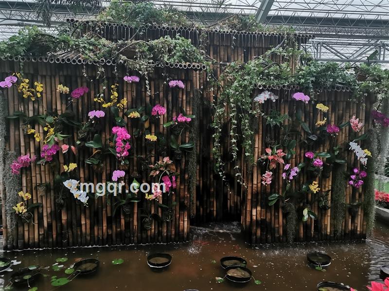 东方向阳的头像