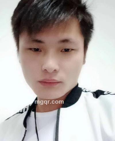 芳心纵火犯的头像