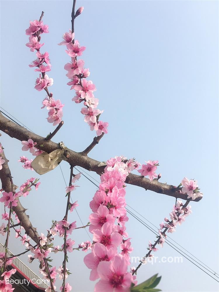 遗忘&开始的头像