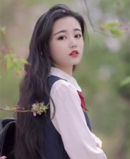 球猪来了的头像