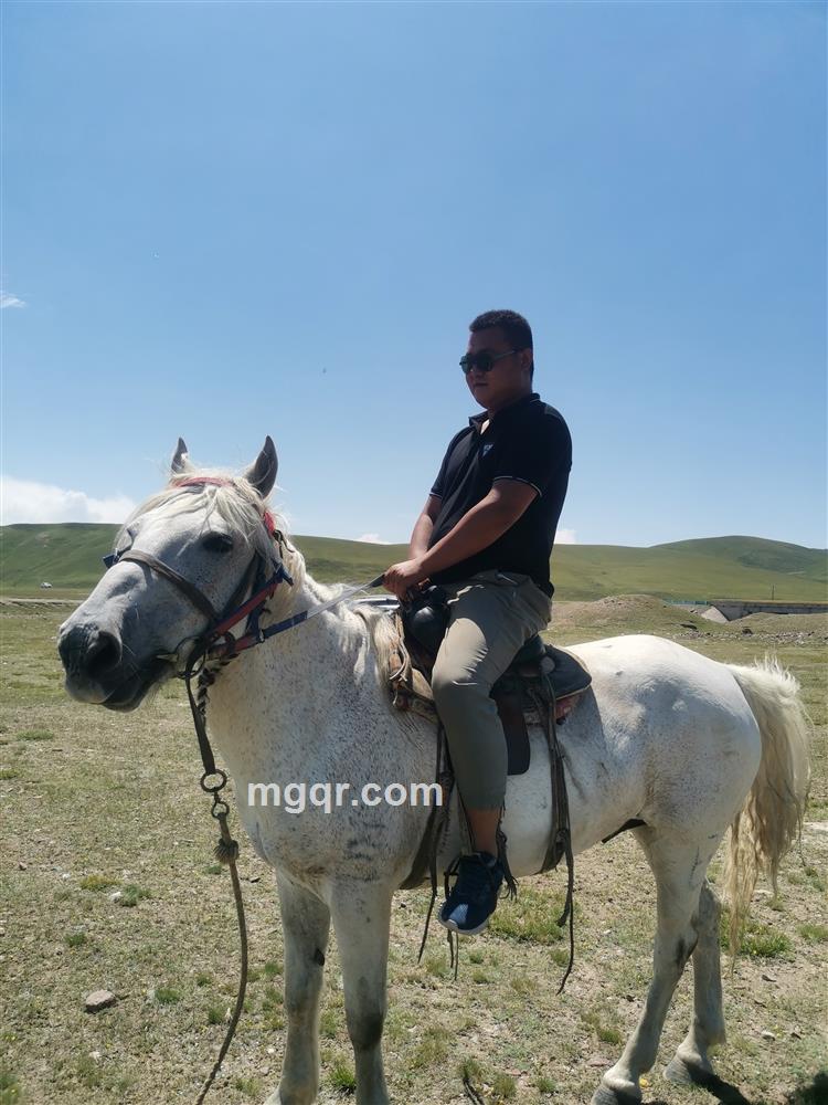 随心而动的头像