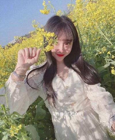 冰糖葫芦的头像