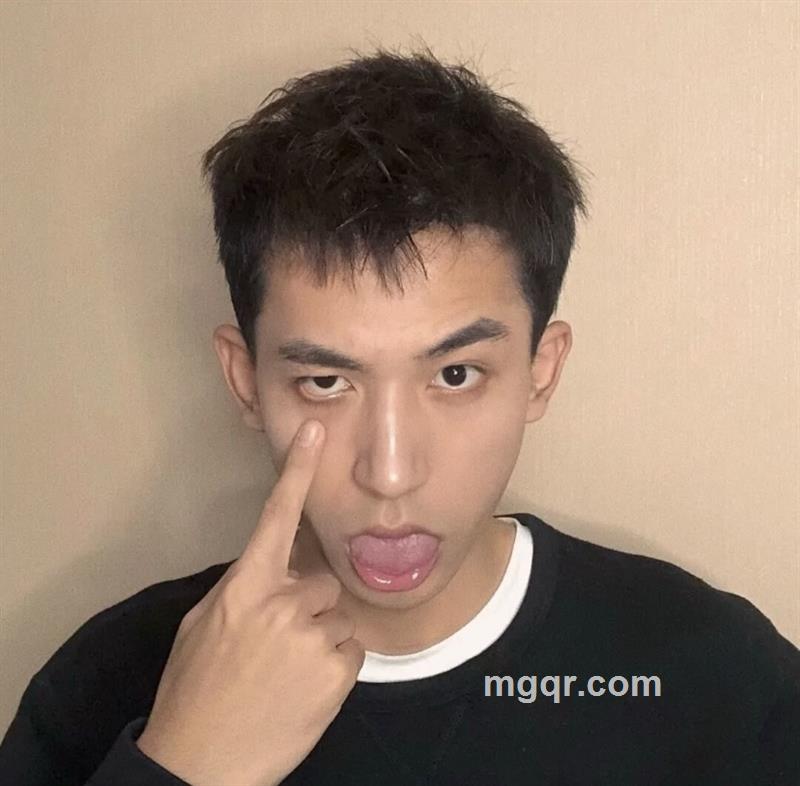 偷狐狸的猫的头像