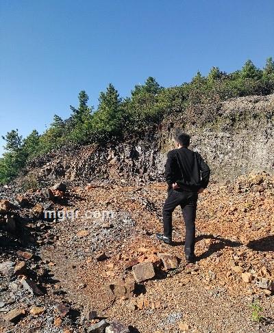 醉清风