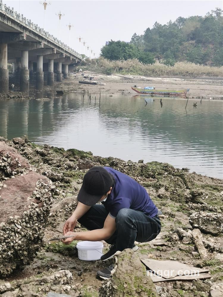 企鹅大哥的头像