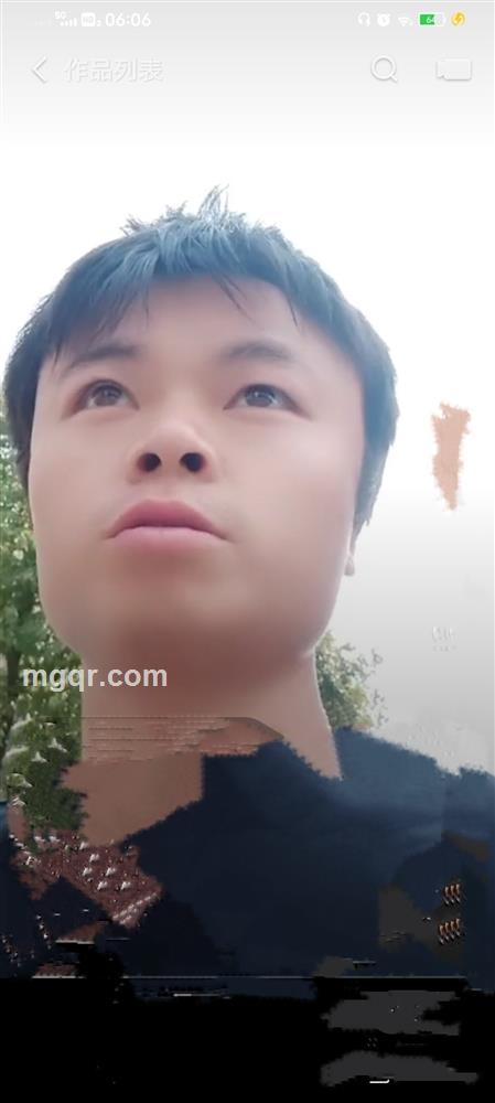 奔跑的野马的头像