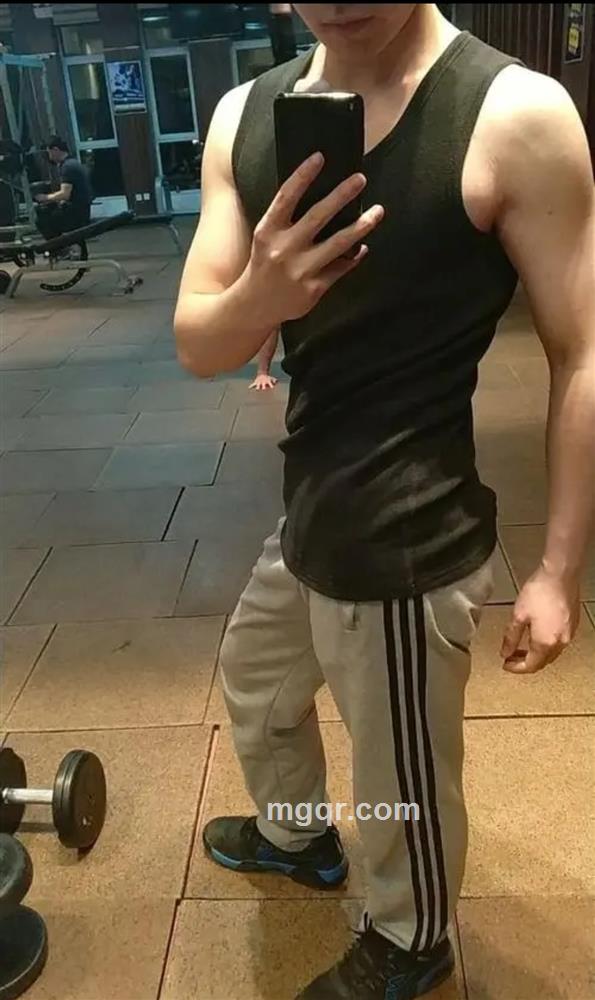 利华企鹅的头像