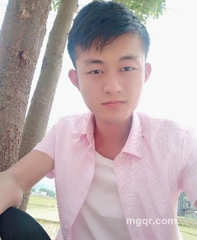 什么杨的头像