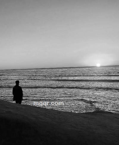 会员5276804的头像