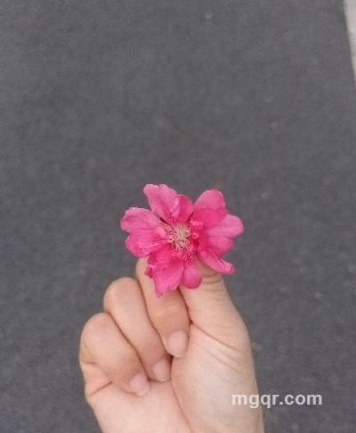 小琳的头像