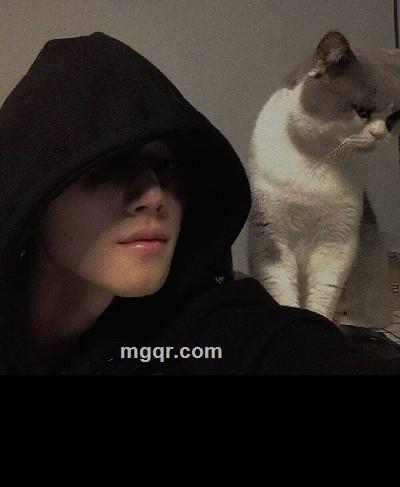 会员5279287的头像