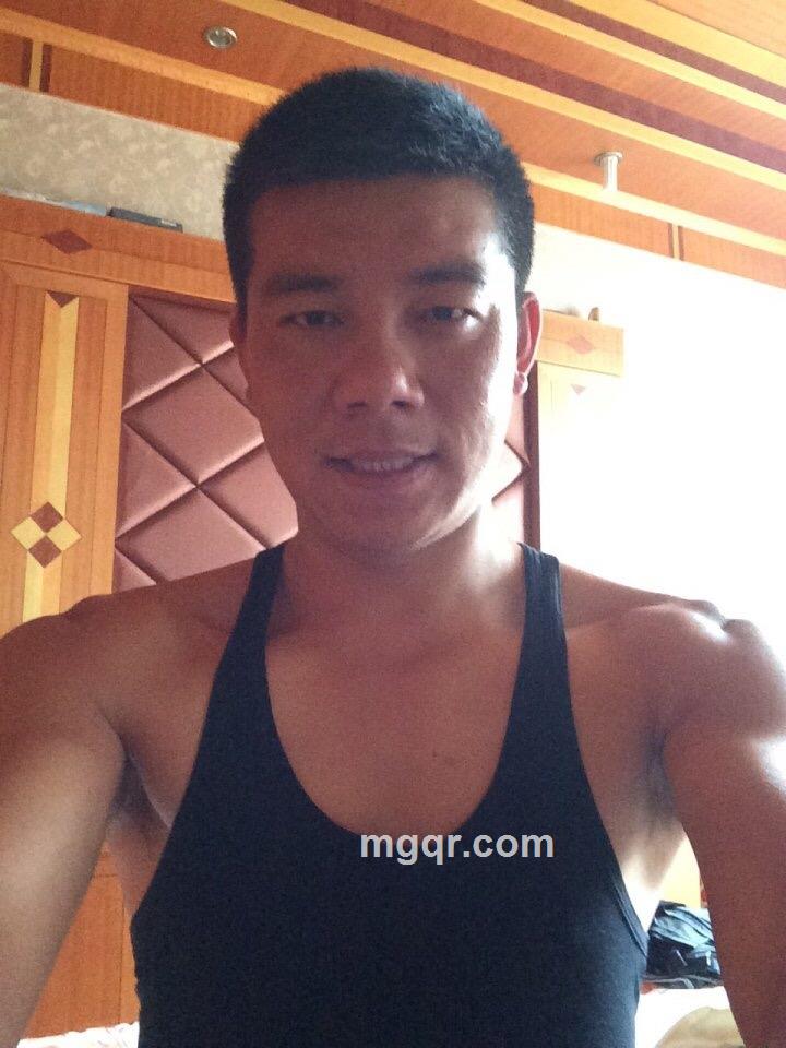 知己知音的头像