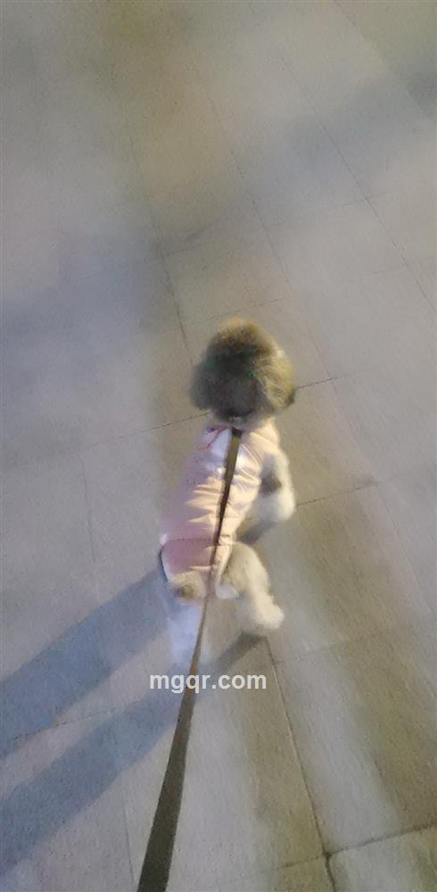 逝水流年轻染尘的头像