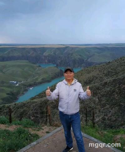 游泳的鱼的头像