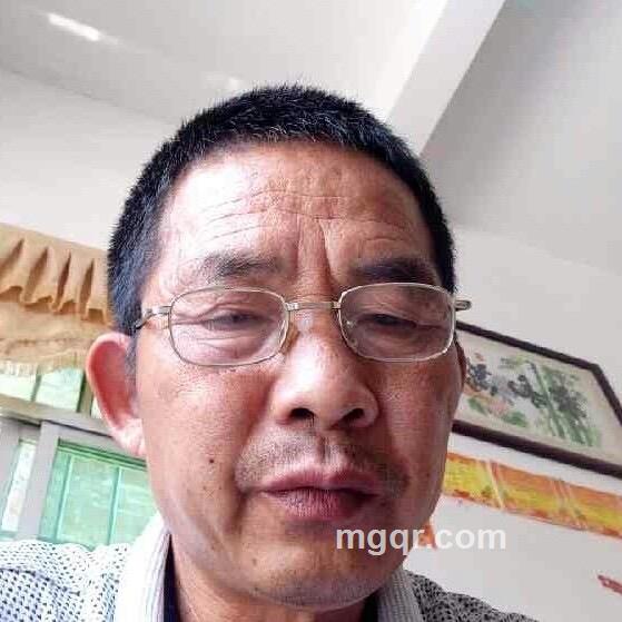 忧伤辉的头像