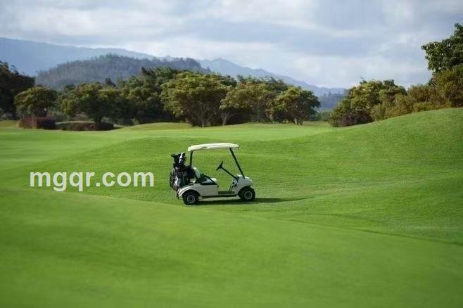 快乐与你分享的头像