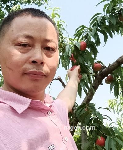 会员5288414的头像