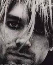 高级动物的头像