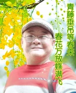 会员5291856的头像