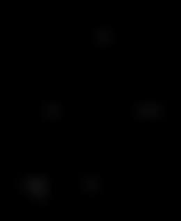 精神小伙的头像