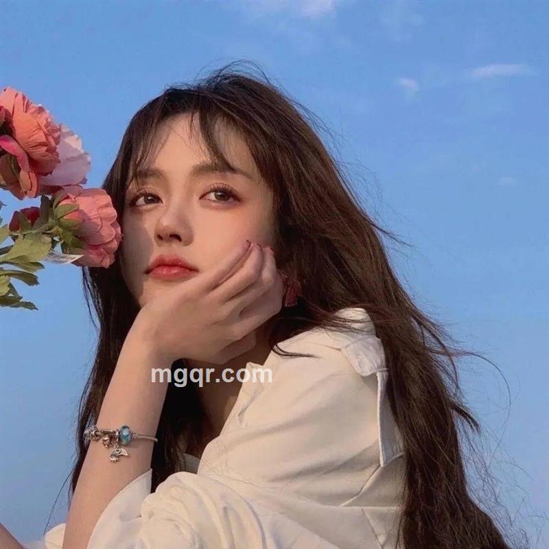 绽放着的玫瑰的头像