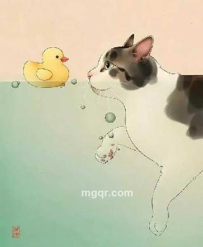 无处安放的头像