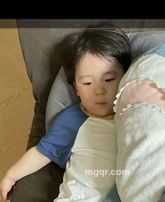 嘉禾的头像
