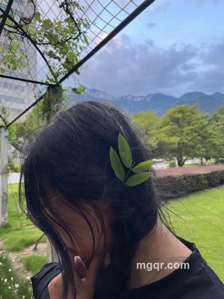 流苏liusu的头像