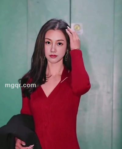 起飞的猫咪的头像