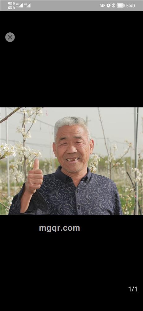 风轻云淡的头像