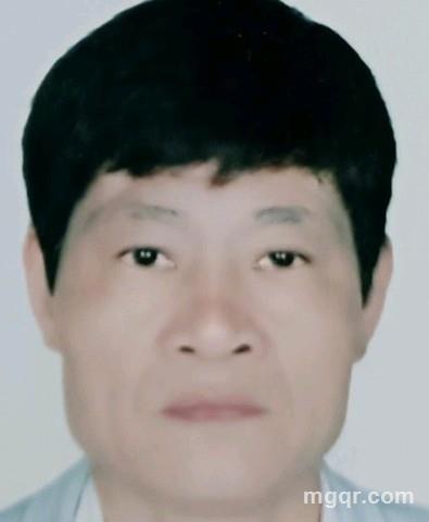 人参的头像